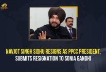 Navjot Singh Sidhu Resigns As PPCC President, Submits Resignation To Sonia Gandhi Mango News, Navjot Singh Sidhu, navjot singh sidhu news latest, Navjot Singh Sidhu Resigns, Navjot Singh Sidhu resigns as Punjab Congress chief, Navjot Singh Sidhu Resigns as Punjab PCC President, Navjot Singh Sidhu resigns as state Congress chief, Navjot Singh Sidhu resigns from Punjab PCC president, Punjab Congress chief, Punjab PCC President