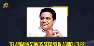 Telangana Stands Second In Agriculture Income Growth Rate, KTR Tweets, Mango News, Telangana News, Telangana News Update 2021, Latest Political News 2021, Politics Updates 2021, Telangana Agriculture Income, Agriculture Income Growth Rate, Telangana Agriculture, agriculture sector in India, Telangana ranked second in country in farmers, Telangana income growth, growth rate of farmer income, Telangana agriculture sector