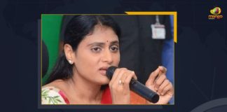 Mango News, Praja Prasthanam Padyatra, Sharmila launch praja prasthana yatra, Telangana, YS Sharmila, YS Sharmila follows in YSR’s footsteps, YS Sharmila Launches Praja Prasthanam Padyatra, YS Sharmila Launches Praja Prasthanam Padyatra Against TRS, YS Sharmila Launches Praja Prasthanam Padyatra Against TRS Rule, YSR’s daughter Sharmila launches padyatra, YSR’s daughter Sharmila launches padyatra in Telangana, YSRTP, YSRTP Chief YS Sharmila