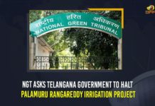NGT Asks Telangana Government To Halt Palamuru Rangareddy Irrigation Project NGT Asks Telangana Government To Halt Palamuru Rangareddy Irrigation Project,Mango News,Mango News English,Palamuru Rangareddy Project,NGT,Palamuru Rangareddy Irrigation Project,NGT Asks Telangana To Stop Palamuru Rangareddy Construction Works,NGT Stays Palamuru Rangareddy Lift Irrigation Project Works,Palamuru Rangareddy Construction Works,NGT Latest News,Telangana,Telangana News,Telangana Government,Palamuru -Ranga Reddy Construction,National Green Tribunal,NGT Ordered TRS Government To Stop Palamuru Rangareddy Irrigation Project Works,CM KCR,NGT Latest News,NGT On Palamuru Rangareddy Project,Telangana Palamuru Rangareddy Project,NGT Directs Telangana Govt To Stop Palamuru Rangareddy Irrigation Project,To Stop Palamuru Rangareddy Irrigation Project News,To Stop Palamuru Rangareddy Irrigation Project Stopped,Environment,Telangana Latest News
