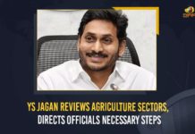 YS Jagan Reviews Agriculture Sectors, Directs Officials Necessary Steps Agriculture Department, Anantapur, AP Agriculture Sectors Directs Officials Necessary Steps, AP Chief Minister, AP CM YS Jagan reviews agriculture sector in the state, AP Department of Agriculture, Chief Minister YS Jagan Mohan Reddy, CM YS Jagan pitches for alternative crops, Department of Agriculture, Directs Officials Necessary Steps, Mango News, Prod farmers to take up millets, ys jagan, YS Jagan Reviews Agriculture Sectors, YS Jagan Reviews Agriculture Sectors Directs Officials Necessary Steps, YS Jagan reviews on Agriculture sector