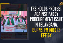 TRS Holds Protest Against Paddy Procurement Issue In Telangana, Burns PM Modi’s Effigy Burns PM Modi’s Effigy, Mango News, MangoNews, Paddy Procurement, Paddy procurement In Telangana, Paddy procurement issue, Paddy Procurement Issue In Telangana, Paddy Procurement Protest, Paddy Procurement Protest Against Central Government, Prime Minister Narendra Modi, Telangana paddy row, TRS Holds Protest Against Paddy Procurement Issue, TRS Holds Protest Against Paddy Procurement Issue In Telangana, TRS protests Over Paddy Procurement Issue