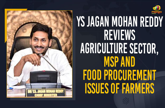 YS Jagan Mohan Reddy Reviews Agriculture Sector, MSP And Food Procurement Issues Of Farmers YS Jagan Mohan Reddy Reviews Agriculture Sector, MSP And Food Procurement Issues Of Farmers, Andhra Pradesh Government, AP CM YS Jagan Held Review on Paddy Procurement, AP CM YS Jagan Held Review on Paddy Procurement In the State, ap paddy procurement dashboard, ap paddy procurement payment status, civil supplies paddy procurement, district wise paddy procurement, Ensure MSP to Farmers, Mango News, Paddy Procurement in ap, Paddy Procurement System, YS Jagan Review on Paddy Procurement, YS Jagan reviews on paddy procurement