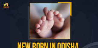 New Born In Odisha Sold For Rs 12000, New Born Baby In Odisha Sold For Rs 12000, A newborn girl was allegedly sold by her parents for Rs 12000, A newborn Baby girl, Odisha couple sells newborn Baby girl, Odisha couple sells Their Baby For 12000, New Born Baby Girl Sold For 12000, New Born Baby Girl In Odisha Sold For Rs 12000, New Born Baby, Odisha Crime, Odisha Crime Latest News, Odisha Crime Latest Updates, Mango News, New Born Baby Girl In Odisha,