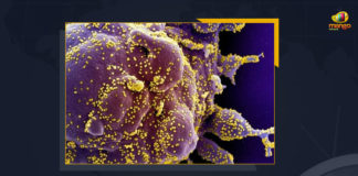 Researchers Find New COVID-19 Variant, Deltacron In Cyprus, Researchers, New COVID-19 Variant, Deltacron In Cyprus, Deltacron covid variant, Deltacron variant, Deltacron variant in India, Deltacron variant south africa, covid-19 new variant, New Covid 19 Variant, New Covid Strain Deltacron, New Coronavirus Strain, Covid B.1.1.529 variant, Deltacron, Update on Deltacron, Deltacron covid variant, Deltacron variant, Mango News, variants of covid-19, types of covid variants,