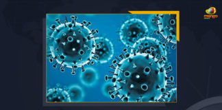 Coronavirus, COVID-19, Covid-19 Updates in Telangana, telangana corona district wise cases, telangana coronavirus cases district wise, telangana coronavirus cases today, telangana coronavirus cases today district wise, telangana coronavirus district wise, telangana coronavirus district wise List, Telangana Coronavirus News, telangana covid cases today bulletin, telangana covid cases today list,mango news