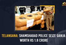 Telangana: Shamshabad Police Seize Ganja Worth Rs 1.8 Crore Telangana Shamshabad Police Seize Ganja Worth Rs 1.8 Crore, Shamshabad Police Seize Ganja Worth Rs 1.8 Crore, Shamshabad Police, Telangana Shamshabad Police Seize Ganja, Special Operations Team, Shamshabad police along with Miyapur police busted a ganja peddling racket, Ganja worth Rs 1.8 Crore seized in Telangana, Shamshabad Police Seized 800 kilograms of ganja, Crime, Crime Latest News, Crime Latest Updates, Telangana, Telangana Crime News, Mango News, Telangana Shamshabad Police, Telangana Miyapur police,