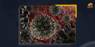 AP Reports 5983 New Wuhan Virus Cases With 11280 Recoveries In 24 Hours, AP Reports 5983 New Wuhan Virus Cases, AP Reports 11280 Recoveries From Wuhan Virus, 5983 New Wuhan Virus Cases In 24 Hours, 11280 Recoveries From Wuhan Virus In 24 Hours, Coronavirus, coronavirus India, Coronavirus Updates, COVID-19, COVID-19 Live Updates, Covid-19 New Updates, Mango News, Omicron Cases, Omicron, Update on Omicron, Omicron covid variant, Omicron variant, coronavirus, coronavirus News, coronavirus Live Updates, AP COVID-19, AP COVID-19 Live Updates, AP Covid-19 New Updates, 100622 Wuhan Virus Active Case In AP,