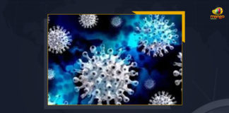 Andhra Pradesh Reports 253 New Wuhan Virus Cases With 2 Deaths In 24 Hours, 253 New Covid-19 Positive Cases and 2 Deaths Reported In Andhra Pradesh, 253 New Covid-19 Cases 2 Deaths in Last 24 Hours In Andhra Pradesh, Covid-19 Updates of Andhra Pradesh 253 Positive Cases 2 Deaths Reported on FEB 23rd, Andhra Pradesh Covid-19 Updates 253 Positive Cases 2 Deaths Reported on FEB 23rd, 253 new Covid-19 cases, 253 new Covid-19 cases In Andhra Pradesh, 2 Deaths In Andhra Pradesh, Andhra Pradesh Covid-19 Updates, Andhra Pradesh Covid-19 Live Updates, Andhra Pradesh Covid-19 Latest Updates, Coronavirus, coronavirus Andhra Pradesh, Coronavirus Updates, COVID-19, COVID-19 Live Updates, Covid-19 New Updates, Mango News, Mango News Telugu, Omicron Cases, Omicron, Update on Omicron, Omicron covid variant, Omicron variant, 253 Positive Cases, Andhra Pradesh Department of Health, Andhra Pradesh coronavirus, Andhra Pradesh coronavirus News, Andhra Pradesh coronavirus Live Updates,