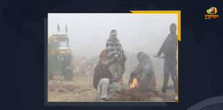 IMD Predicts Rainfall Dense Fog And Cold Waves In Northern Regions For Next Few Days, IMD Predicts Rainfall, Dense Fog And Cold Waves In Northern Regions For Next Few Days, Indian Meteorological Department, IMD, Indian Meteorological Department Predicts Rainfall, weather forecast, IMD Predicts fog And rainfall and severe cold weather to many parts of India, IMD Predicts fog, IMD Predicts severe cold weather to many parts of India, Northern Regions Latest News, Northern Regions Live Updates, Northern Regions Weather, Northern Regions Weather News, Northern Regions Weather Live Updates, Northern Regions rains, Northern Regions rains Latest Updates, Weather update, Northern Regions Weather update, Mango News,