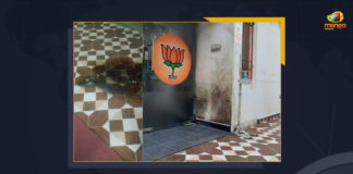 Petrol Bombs Hurled At BJP Headquarters In Chennai Man Detained, Petrol Bombs Hurled At BJP Headquarters In Chennai, Petrol Bombs, BJP Headquarters In Chennai, BJP Headquarters, Petrol Bombs Hurled At BJP Headquarters, Bharatiya Janata Party office, Bharatiya Janata Party Headquarters, Petrol Bombs Hurled At Bharatiya Janata Party Headquarters, petrol bombs at the entrance of the Bharatiya Janata Party office, petrol bomb, Petrol Bombs In Chennai, Bharatiya Janata Party, Mango News,