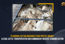 Telangana BJP Gau Rakshaks Stage Protest Against Illegal Cattle Transportation And Karmanghat Incident Demands Action, Telangana, BJP Gau Rakshaks Stage Protest Against Illegal Cattle Transportation And Karmanghat Incident Demands Action, BJP Gau Rakshaks Stage Protest Against Illegal Cattle Transportation, BJP Gau Rakshaks Stage Protest Against Karmanghat Incident, BJP Gau Rakshaks Demands Action, Illegal Cattle Transportation And Karmanghat Incident, Illegal Cattle Transportation, Karmanghat Incident, Telangana BJP, BJP, Bharatiya Janata Party, cow protectors, Gau Rakshaks, BJP Gau Rakshaks, Mango News,