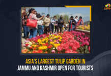 Asia’s Largest Tulip Garden In Jammu And Kashmir Open For Tourists Asia's Largest Tulip Garden In Jammu And Kashmir Open For Tourists, Asia's Largest Tulip Garden In Jammu And Kashmir, Asia's Largest Tulip Garden Open For Tourists, Asia's Largest Tulip Garden, Tulip Garden, Tulip Garden Open For Tourists, Jammu And Kashmir, Asia's largest tulip garden is now open for tourists in Jammu and Kashmir is now open for tourists, Indira Gandhi Memorial Tulip Garden, Siraj Bagh, Siraj Bagh Latest News, Siraj Bagh Latest Updates, Siraj Bagh Live Updates, Mango News,