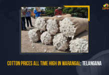 Cotton Prices All Time High In Warangal Telangana, Cotton Prices All Time High In Warangal, Cotton Prices, Cotton Prices In Warangal, Cotton Prices In Telangana, cotton prices rose to an all time high, Telangana Cotton Prices, Telangana Cotton Prices Latest News, Telangana Cotton Prices Latest Updates, Telangana Cotton Prices Live Updates, Telangana, Warangal, Enumamula market, Mango News,