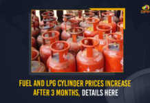Fuel And LPG Cylinder Prices Increase After 3 Months Details Here, LPG Cylinder Prices Increase After 3 Months, Fuel Prices Increase After 3 Months, Fuel And LPG Cylinder Prices Increase After 3 Months in The Country, Fuel And LPG Cylinder Prices Increased In India, India LPG Cylinder Petrol And Diesel Prices Are Increased in The Country, LPG Cylinder Petrol And Diesel Prices Are Increased in The Country, LPG Cylinder Prices Are Increased in The Country, Diesel Prices Are Increased in The Country, Petrol Prices Are Increased in The Country, Petrol And Diesel Prices, LPG Cylinder Prices, Diesel Prices, Petrol Prices, Fuel And LPG Cylinder Prices, Fuel And LPG Cylinder Prices Latest News, Fuel And LPG Cylinder Prices Latest Updates, Fuel And LPG Cylinder Prices Live Updates, Mango News,