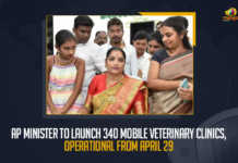 AP Minister To Launch 340 Mobile Veterinary Clinics Operational From April 29, 340 mobile vet clinics to start on April 29, 340 Mobile Veterinary Clinics Operational From April 29, Andhra Pradesh there would soon be 340 mobile veterinary clinics, mobile veterinary clinics, mobile veterinary clinics In AP, Seediri Appala Raju assumed office as minister for Dairy Development and Fisheries, Seediri Appala Raju said that 340 mobile veterinary clinics would be launched to benefit the fishermen, fishermen, Seediri Appala Raju, AP Minister Seediri Appala Raju, Minister Seediri Appala Raju, mobile veterinary clinics Latest News, mobile veterinary clinics Latest Updates, mobile veterinary clinics Live Updates, Mango News,