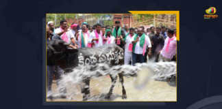 Paddy Procurement Agitation Of TRS Govt Continues, Paddy Procurement Issue TRS Leaders and Activists hoisted Black Flags at their Houses, TRS Leaders and Activists hoisted Black Flags at their Houses, TRS Leaders hoisted Black Flags at their Houses, TRS Party Leaders and Activists hoists black flags across Telangana, black flags across Telangana, TRS Party Leaders and Activists Black Flag Protest over Paddy Procurement Issue, TRS Party Protest, TRS Party Protest Against Paddy Procurement Issue, TRS Party Protest Latest News, TRS Party Protest Latest Updates, TRS Party Protest Live Updates, Telangana Paddy Procurement Issue, Paddy Procurement in Telangana, Telangana Paddy Procurement, Paddy Procurement, Paddy Procurement Latest News, Paddy Procurement Latest Updates, Paddy Procurement Live Updates, Telangana CM KCR, CM KCR, K Chandrashekar Rao, Chief minister of Telangana, K Chandrashekar Rao Chief minister of Telangana, Telangana Chief minister, Telangana Chief minister K Chandrashekar Rao, Telangana, Mango News,