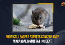 Political Leaders Express Concern Over Warangal MGMH Rat Incident, Telangana Pradesh Congress Committee chief A Revanth Reddy, Warangal MGMH Rat Incident, Warangal MGMH, Rat Incident, Warangal MGMH incident, TPCC Chief criticized the K Chandrashekar Rao Government over the Warangal MGMH rat attack incident, K Chandrashekar Rao Government, TRS Government, TPCC chief Revanth Reddy, TPCC chief Revanth Reddy criticized TRS Government, Rats bite patient in govt hospital, govt hospital, Warangal MGMH incident Latest News, Warangal MGMH incident Latest Updates, Warangal MGMH incident Live Updates, Telangana Health Minister T Harish Rao, Telangana Health Minister, Mango News,