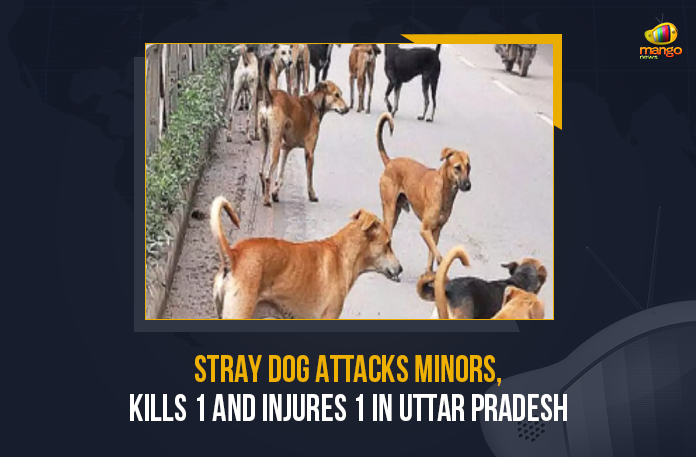 Stray-Dog-Attacks-Minors,-Kills-1-And-Injures-1-In-Uttar-Pradesh Stray Dog Attacks Minors Kills 1 And Injures 1 In Uttar Pradesh, Stray Dog Attacks Minors, Stray Dog Attacks Minors In Uttar Pradesh, Stray Dog Attacks Minors Kills 1 In Uttar Pradesh, Stray Dog Attacks Minors Injures 1 In Uttar Pradesh, Stray Dog, stray dogs attacked two minors resulting in the death of one and severely injured another, stray dogs attacked two minors, resulting in the death of one and severely injured another, Five-year-old Raza was killed after stray dogs attacked him, Five-year-old boy Raza dies, Uttar Pradesh A minor boy died and his sister was critically injured after being attacked by a pack of stray dogs, Stray dogs kill minor, Mango News,