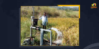 Telangana Farmers To Have 24 Hour Power Supply For Agriculture Sector, 24 Hour Power Supply For Agriculture Sector, Telangana Farmers To Have 24 Hour Power Supply, Telangana is the only state to provide 24-hour free power supply to the agricultural sector in the state, Telangana starts free 24-hour power supply to Telangana Farmers, 24-hour uninterrupted power supply to Telangana Farmers, 24-hour uninterrupted power supply For Agriculture Sector, Agriculture Sector, Telangana Farmers, Telangana Farmers News, Telangana Farmers Latest News, Telangana Farmers Latest Updates, Telangana Farmers Live Updates, 24 Hour Free Power Supply For Telangana Farmers, Working President of the Telangana Rashtra Samithi, Telangana Rashtra Samithi Working President, TRS Working President KTR, Telangana Minister KTR, Minister KTR, KT Rama Rao, Minister of Municipal Administration and Urban Development of Telangana, KT Rama Rao Minister of Municipal Administration and Urban Development of Telangana, KT Rama Rao Information Technology Minister, KT Rama Rao MA&UD Minister of Telangana, Mango News,