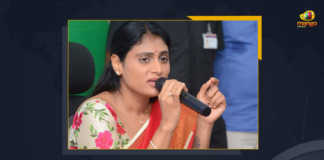 YS Sharmila Hits Back At KTR Over His Remarks Against AP Infrastructure, KTR Over His Remarks Against AP Infrastructure, YS Sharmila Hits Back At KTR Over His Remarks Against AP Government, YSR Telangana Party Chief YS Sharmila Hits Back At KTR Over His Remarks Against AP Infrastructure, YSR Telangana Party Chief YS Sharmila Comments On KTR, YSR Telangana Party Chief YS Sharmila Intresting Comments On KTR, YSR Telangana Party Chief YS Sharmila Sensational Comments On KTR, AP Infrastructure, YSR Telangana Party Chief YS Sharmila, YSR Telangana Party Chief, YS Sharmila, Telangana Minister KTR, KT Rama Rao, Minister KTR, Minister of Municipal Administration and Urban Development of Telangana, KT Rama Rao Minister of Municipal Administration and Urban Development of Telangana, KT Rama Rao Information Technology Minister, KT Rama Rao MA&UD Minister of Telangana, Mango News,