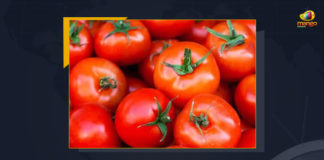 AP Govt Distributes Tomatoes At Cheaper Rates In Rythu Bazar, Govt Distributes Tomatoes At Cheaper Rates In Rythu Bazar, YSRCP Govt Distributes Tomatoes At Cheaper Rates In Rythu Bazar, AP Govt Distributes Tomatoes At Cheaper Rates, YSRCP Govt Distributes Tomatoes At Cheaper Rates, Tomatoes At Cheaper Rates In Rythu Bazar, Rythu Bazar, Tomatoes At Cheaper Rates, Andhra Pradesh Government decided to provide the tomatoes at a cheaper rate, Andhra Pradesh government has embarked on a program to reduce the price of high-priced tomatoes, AP faces shortage of tomatoes, Tomatoes, Andhra Pradesh government, Mango News,