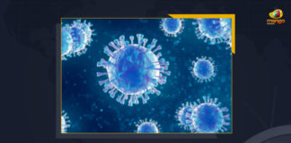 India Reports 2706 New Wuhan Virus Cases And 25 Fatalities, India Records 2706 New Covid-19 Cases 25 Deaths in Last 24 Hours, India, India Covid-19, 25 Deaths Reported on India May 29th, 2706 new Covid-19 cases In India, India Covid-19 Updates, India Covid-19 Live Updates, India Covid-19 Latest Updates, Coronavirus, Coronavirus Breaking News, Coronavirus Latest News, COVID-19, India Coronavirus, India Coronavirus Cases, India Coronavirus Deaths, India Coronavirus New Cases, India Coronavirus News, India New Positive Cases, Total COVID 19 Cases, Coronavirus, Covid-19 Updates in India, India corona State wise cases, India coronavirus cases State wise, Mango News,