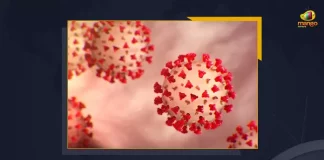 India Registers 45% Jump In COVID-19 Cases With 17073 New Cases, India New Covid-19 Positive Cases Update, India, India Covid-19, 21 Deaths Reported on India June 26th, 17073 new Covid-19 cases In India, India Covid-19 Updates, India Covid-19 Live Updates, India Covid-19 Latest Updates, Coronavirus, Coronavirus Breaking News, Coronavirus Latest News, COVID-19, India Coronavirus, India Coronavirus Cases, India Coronavirus Deaths, India Coronavirus New Cases, India Coronavirus News, India New Positive Cases, Total COVID 19 Cases, Coronavirus, Covid-19 Updates in India, India corona State wise cases, India coronavirus cases State wise, Mango News,