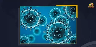 India Reports 8084 New COVID-19 Cases With 10 Fatalities In 24 Hours, India New Covid-19 Positive Cases Update on June 12th, India, India Covid-19, 10 Deaths Reported on India June 12th, 8084 new Covid-19 cases In India, India Covid-19 Updates, India Covid-19 Live Updates, India Covid-19 Latest Updates, Coronavirus, Coronavirus Breaking News, Coronavirus Latest News, COVID-19, India Coronavirus, India Coronavirus Cases, India Coronavirus Deaths, India Coronavirus New Cases, India Coronavirus News, India New Positive Cases, Total COVID 19 Cases, Coronavirus, Covid-19 Updates in India, India corona State wise cases, India coronavirus cases State wise, Mango News,