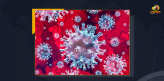 India Registers 7581 New COVID-19 Cases In 24 Hours, Covid-19 Updates of India 7581 New Positive Cases 24 Deaths Reported in Last 24 Hours, India, India Covid-19, 24 Deaths Reported on India June 9th, 7581 new Covid-19 cases In India, India Covid-19 Updates, India Covid-19 Live Updates, India Covid-19 Latest Updates, Coronavirus, Coronavirus Breaking News, Coronavirus Latest News, COVID-19, India Coronavirus, India Coronavirus Cases, India Coronavirus Deaths, India Coronavirus New Cases, India Coronavirus News, India New Positive Cases, Total COVID 19 Cases, Coronavirus, Covid-19 Updates in India, India corona State wise cases, India coronavirus cases State wise, Mango News,