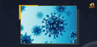 India Wuhan Virus Update Nation Registers Over 5233 New Cases With 7 Fatalities In 24 Hours, India Reports 5233 Covid-19 Cases 7 Deaths in Last 24 Hours, India, India Covid-19, 7 Deaths Reported on India June 7th, 5233 new Covid-19 cases In India, India Covid-19 Updates, India Covid-19 Live Updates, India Covid-19 Latest Updates, Coronavirus, Coronavirus Breaking News, Coronavirus Latest News, COVID-19, India Coronavirus, India Coronavirus Cases, India Coronavirus Deaths, India Coronavirus New Cases, India Coronavirus News, India New Positive Cases, Total COVID 19 Cases, Coronavirus, Covid-19 Updates in India, India corona State wise cases, India coronavirus cases State wise, Mango News,