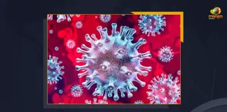 Telangana Registers 477 New Wuhan Virus Cases With Highest Single Day Cases From GHMC, Telangana Reports 477 Corona Positive Cases 279 Recoveries on June 27, Telangana, Telangana Covid-19, 279 Recoveries Reported on Telangana June 27th, 477 new Covid-19 cases In Telangana, Telangana Covid-19 Updates, Telangana Covid-19 Live Updates, Telangana Covid-19 Latest Updates, Coronavirus, Coronavirus Breaking News, Coronavirus Latest News, COVID-19, Telangana Coronavirus, Telangana Coronavirus Cases, Telangana Coronavirus Deaths, Telangana Coronavirus New Cases, Telangana Coronavirus News, Telangana New Positive Cases, Total COVID 19 Cases, Coronavirus, COVID-19, Covid-19 Updates in Telangana, Telangana corona district wise cases, Telangana coronavirus cases district wise, Mango News,