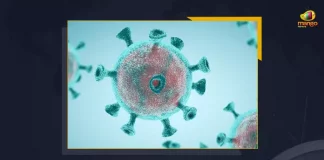 India Registers Over 17092 New COVID-19 Cases With 29 Fatalities, 17092 New Corona Positive Cases 29 Deaths Reported in India in the Last 24 Hours, India, India Covid-19, 29 Deaths Reported on India July 1st, 17092 new Covid-19 cases In India, India Covid-19 Updates, India Covid-19 Live Updates, India Covid-19 Latest Updates, Coronavirus, Coronavirus Breaking News, Coronavirus Latest News, COVID-19, India Coronavirus, India Coronavirus Cases, India Coronavirus Deaths, India Coronavirus New Cases, India Coronavirus News, India New Positive Cases, Total COVID 19 Cases, Coronavirus, Covid-19 Updates in India, India corona State wise cases, India coronavirus cases State wise, Mango News,