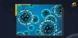 Telangana Registers 540 New COVID-19 Cases With Active Cases At 4481, Telangana Reports 540 New Covid-19 Cases 708 Recoveries on July 18, Telangana, Telangana Covid-19, 708 Recoveries Reported on Telangana July 18th, 540 new Covid-19 cases In Telangana, Telangana Covid-19 Updates, Telangana Covid-19 Live Updates, Telangana Covid-19 Latest Updates, Coronavirus, Coronavirus Breaking News, Coronavirus Latest News, COVID-19, Telangana Coronavirus, Telangana Coronavirus Cases, Telangana Coronavirus Deaths, Telangana Coronavirus New Cases, Telangana Coronavirus News, Telangana New Positive Cases, Total COVID 19 Cases, Coronavirus, COVID-19, Covid-19 Updates in Telangana, Telangana corona district wise cases, Telangana coronavirus cases district wise, Mango News,