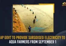 AP Govt To Provide Subsidised Electricity To Aqua Farmers From September 1, Subsidised Electricity To Aqua Farmers From September 1, Subsidised Electricity To Aqua Farmers, Aqua Farmers, Subsidised Electricity, AP Govt To Provide Subsidised Electricity To Aqua Farmers, electricity subsidy to small and small aqua farmers, Aqua Farmers Subsidised Electricity, All the eligible farmers of Andhra Pradesh would be getting electricity subsidies from the 1st of September, Aqua Farmers News, Aqua Farmers Latest News, Aqua Farmers Latest Updates, Aqua Farmers Live Updates, Mango News,