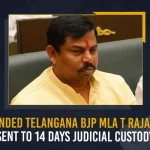 Suspended Telangana BJP MLA T Raja Singh Sent To 14 Days Judicial Custody Suspended Telangana BJP MLA T Raja Singh Sent To 14 Days Judicial Custody, BJP MLA Raja Singh Gets Judicial Remand for 14 Days, Hyderabad BJP MLA Raja Singh Gets Judicial Remand for 14 Days, Raja Singh Gets Judicial Remand for 14 Days, BJP MLA Raja Singh Arrested, Alleged Derogatory Remarks, MLA Raja Singh Derogatory Remarks, Derogatory Remarks, BJP MLA Raja Singh, MLA Raja Singh, BJP MLA Raja Singh Arrest News, BJP MLA Raja Singh Arrest Latest News And Updates, BJP MLA Raja Singh Arrest Live Updates, Mango News,