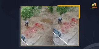 Bengaluru Woman Throws Her 4 Year Old Daughter From Balcony Arrested, Woman Throws Her 4 Year Old Daughter From Balcony, Bengaluru Woman Arrested, Bengaluru woman allegedly threw a hearing-speech impaired daughter, hearing-speech impaired daughter, Bengaluru Woman Throws Her Four years old from their fourth-floor apartment balcony, fourth-floor apartment balcony, woman arrested for throwing mentally challenged daughter from 4th floor, mentally challenged daughter, 4-Year-Old Girl Dies After Mother Throws Her From fourth-floor apartment balcony, Bengaluru Dentist, Bengaluru Woman News, Bengaluru Woman Latest News, Bengaluru Woman Latest Updates, Bengaluru Woman Live Updates, Mango News,