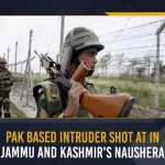 Pak Based Intruder Shot At In Jammu And Kashmir's Naushera, Jammu And Kashmir's Naushera, Pak Based Intruder Shot, Pak Based Intruder, security forces shot at an Pak Based Intruder, Lashkar-e-Taiba, intruder was shot near the Line of Control, Line of Control, Jammu And Kashmir, Mango News,