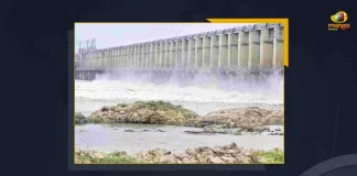Telangana Govt Lifts 44 Gates Of Jurala Project As Water Inflows Amid Rains, TS Govt Lifts 44 Gates Of Jurala Project As Water Inflows Amid Rains, Jurala project 44 gates lifted due to heavy inflow of floodwater, 44 Gates Of Jurala Project, Amid the heavy rains, water flow at the Jurala project continues for days, 44 Gates Of Jurala Project Lifted, Jurala Project, 44 Gates, Telangana Govt, Jurala Project News, Jurala Project Latest News And Updates, Jurala Project Live Updates, Mango News,