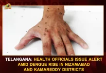 Telangana Health Officials Issue Alert Amid Dengue Rise In Nizamabad And Kamareddy Districts, Health Officials Issue Alert, Telangana Health Officials, Telangana Health Officials Issue Alert, Telangana Dengue Rise, Health Officials Alert on Dengue Rise, Mango News, Mango News Telugu, Dengue Rise In Nizamabad, Dengue Rise In Kamareddy, Dengue Rise In Telangana Districts, Dengue Rise In Hyderabad, Dengue Fever, Telangana Health Latest News And Updates
