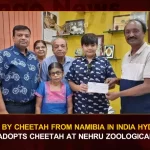 Inspired By Cheetah From Namibia In India Hyderabad Teen Adopts Cheetah At Nehru Zoological Park, Teen Adopts Cheetah At Nehru Zoological Park, Animal Adoption Programme, Nehru Zoological Park, Cheetah From Namibia, Mango News, PM Modi Releases 8 Cheetahs At National Park, PM Modi Releases 8 Cheetahs, PM Narendra Modi, Kuno National Park Madhya Pradesh , Kuno National Park , Mango News Telugu, PM Modi Releases 8 Cheetahs in Kuno National Park, PM Modi, PM Modi Madhya Pradesh Tour, PM Modi Latest News And Updates, Kuno National Park