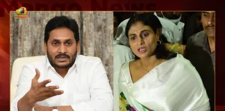 YS Sharmila Finds Fault In Brother’s Decision Of Changing NTR Health University To YSR University, YS Sharmila On Changing NTR Health University Name, NTR Health University, YSR University, NTR Health University Name Change, NTR Health University, Balakrishna On NTR Health University Name Change, NTR Health University, Dr YSR Health Varsity, TDP Chief Chandrababu Naidu, AP Govt Decision to Name Change of NTR Health University After YSR, Mango News, Mango News Telugu, AP Former CM YS Rajashekar Reddy, Former CM Nandamuri Taraka Rama Rao, YSR Congress Party, Telugu Desham Party, AP Assembly Session