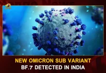 New Omicron Sub Variant BF.7 Detected In India, New Omicron Sub Variant In India, Omicron Sub Variant Detected, Omicron Sub Variant, Mango News,Mango News Telugu, New Omicron Sub Variant BF.7, Omicron Sub Variant BF.7, COVID19 Cases In India, Carona Live Updates, Covid19 News And Latest Updates, Covid19 Vaccine, COVID New Variant, Booster Dose, India COVID News, Omicron Sub Variant, Omicron, Omicron Variant, Omicron Latest News And Updates