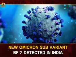 New Omicron Sub Variant BF.7 Detected In India, New Omicron Sub Variant In India, Omicron Sub Variant Detected, Omicron Sub Variant, Mango News,Mango News Telugu, New Omicron Sub Variant BF.7, Omicron Sub Variant BF.7, COVID19 Cases In India, Carona Live Updates, Covid19 News And Latest Updates, Covid19 Vaccine, COVID New Variant, Booster Dose, India COVID News, Omicron Sub Variant, Omicron, Omicron Variant, Omicron Latest News And Updates
