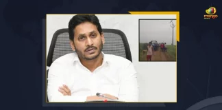 AP CM Directs Officials To Conduct Audit In Respond To Anantapur Labourers Death, Officials To Conduct Audit In Respond To Anantapur Labourers Death, Anantapur Labourers Death, Officials To Conduct Audit, AP CM YS Jagan Mohan Reddy, Tragic Incident In Anantapur, Four farm labourers dead In Anantapur, 14 labourers being electrocuted, Anantapur Labourers, an audit in the scope of all DISCOMs, Anantapur Labourers Death News, Anantapur Labourers Death Latest News And Updates, Anantapur Labourers Death Live Updates, Mango News