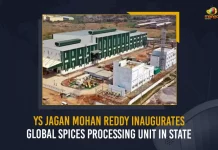 YS Jagan Mohan Reddy Inaugurates Global Spices Processing Unit In State,YS Jagan Mohan Reddy,Global Spices Processing Unit, Global Spices Processing Unit In AP, Mango News,Mango News Telugu, AP CM YS Jagan Mohan Reddy , YS Jagan News And Live Updates, YSR Congress Party, Andhra Pradesh News And Updates, AP Politics, Janasena Party, TDP Party, YSRCP, Political News And Latest Updates, AP News And Updates
