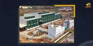 YS Jagan Mohan Reddy Inaugurates Global Spices Processing Unit In State,YS Jagan Mohan Reddy,Global Spices Processing Unit, Global Spices Processing Unit In AP, Mango News,Mango News Telugu, AP CM YS Jagan Mohan Reddy , YS Jagan News And Live Updates, YSR Congress Party, Andhra Pradesh News And Updates, AP Politics, Janasena Party, TDP Party, YSRCP, Political News And Latest Updates, AP News And Updates