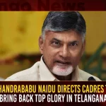Chandrababu Naidu Directs Cadres To Bring Back TDP Glory In Telangana Chandrababu Naidu Directs Cadres To Bring Back TDP Glory In Telangana,Chandrababu Naidu Directs Cadres,TDP Glory In Telangana,TDP Telangana,Mango News,Mango News Telugu,Tdp Chief Chandrababu Naidu,AP CM YS Jagan Mohan Reddy , YS Jagan News And Live Updates, YSR Congress Party, Andhra Pradesh News And Updates, AP Politics, Janasena Party, TDP Party, YSRCP, Political News And Latest Updates