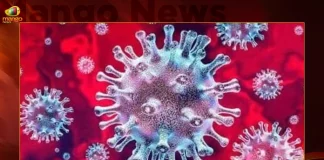 India COVID-19 Cases Witness Rise With 243 New Cases In 24 Hours,5 Covid Deaths,Covid Last 24 Hours, 243 People Tested Positive,Coronavirus In India,Mango News,Mango News Telugu,Covid In India,Covid,Covid-19 India,Covid-19 Latest News And Updates,Covid-19 Updates,Covid India,India Covid,Covid News And Live Updates,Carona News,Carona Updates,Carona Updates,Cowaxin,Covid Vaccine,Covid Vaccine Updates And News,Covid Live