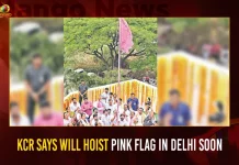 KCR Says Will Hoist Pink Flag In Delhi Soon,Grandly Held At Telangana Bhavan,CM KCR Unveiled BRS flag,Mango News,Mango News Telugu,Approval Telangana Rashtra Samithi,Bharat Rashtra Samithi,BRS Emergence Program,Telangana Rashtra Samithi,TRS Party Name Change,BRS Party,TRS Party,TRS Latest News and Updates,BRS Party News and Live Updates,BRS Party Emergence,Election Commision Of India,Telangana BRS Party,TRS Party News,Emergence BRS Programe,TRS News and Updates,BRS National Party,TRS Name Change,CM KCR News And Live Updates, Telangna Congress Party, Telangna BJP Party, YSRTP,TRS Party,Telangana Latest News And Updates,Telangana Politics, Telangana Political News And Updates,Telangana CM KCR